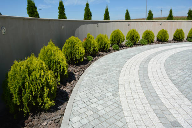 Best Residential Paver Driveway  in Third Lake, IL